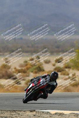 media/Apr-10-2022-SoCal Trackdays (Sun) [[f104b12566]]/Turn 5 Tree of Life (1040am)/